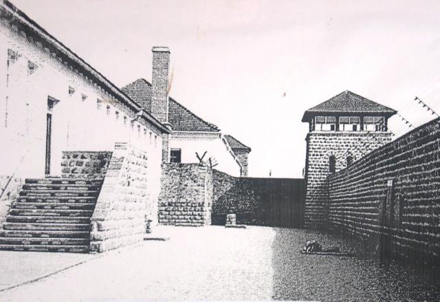 La scala che porta alle celle del carcere ove si facevano esperimenti sui prigionieri.